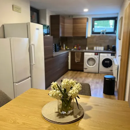 Δωμάτια σε οικογενειακή κατοικία Luxury Double Room, Guest Kitchen, Games And Bar Mortelsdorf