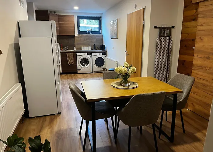 Luxury Double Room, Kitchenette, Games And Bar * Mortelsdorf