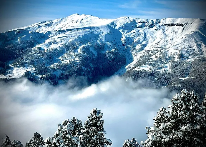 Quarto em Acomodações Particulares Luxury Double Room, Kitchenette, Games Room And Bar